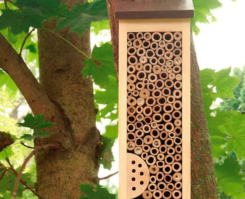 gardendesignmag: Native bees bring many benefits, why not invite them into your garden?! Gardenin… Native bees bring many benefits, why not invite them into your garden?! Gardenin...