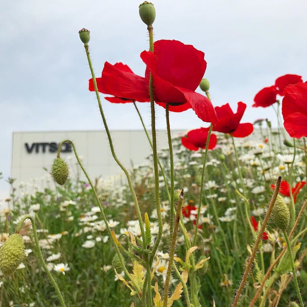 sheilajacklandscapes: Model factory @vitsoe #kimwilkie #dieterrams #wildflower #meadow #nationalmeadow… Model factory @vitsoe #kimwilkie #dieterrams #wildflower #meadow #nationalmeadow...