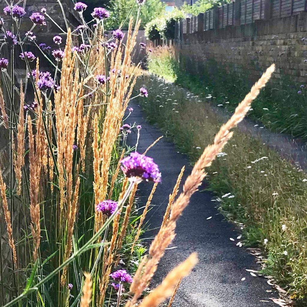 Walk on the wild side... lovely to revisit this urban ‘country lane’ project for...