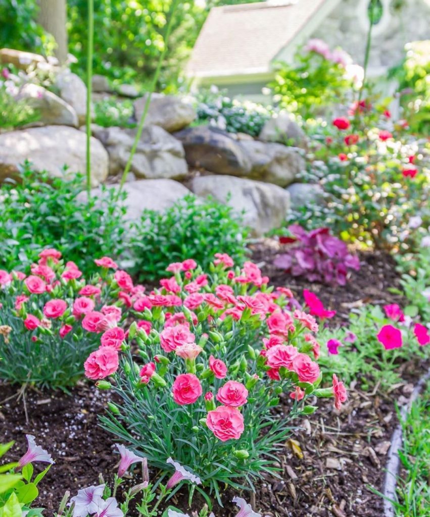 gardendesignmag: Saw this on #gardendesignlove from @graceinthisspace and just had to share with… Saw this on #gardendesignlove from @graceinthisspace and just had to share with...