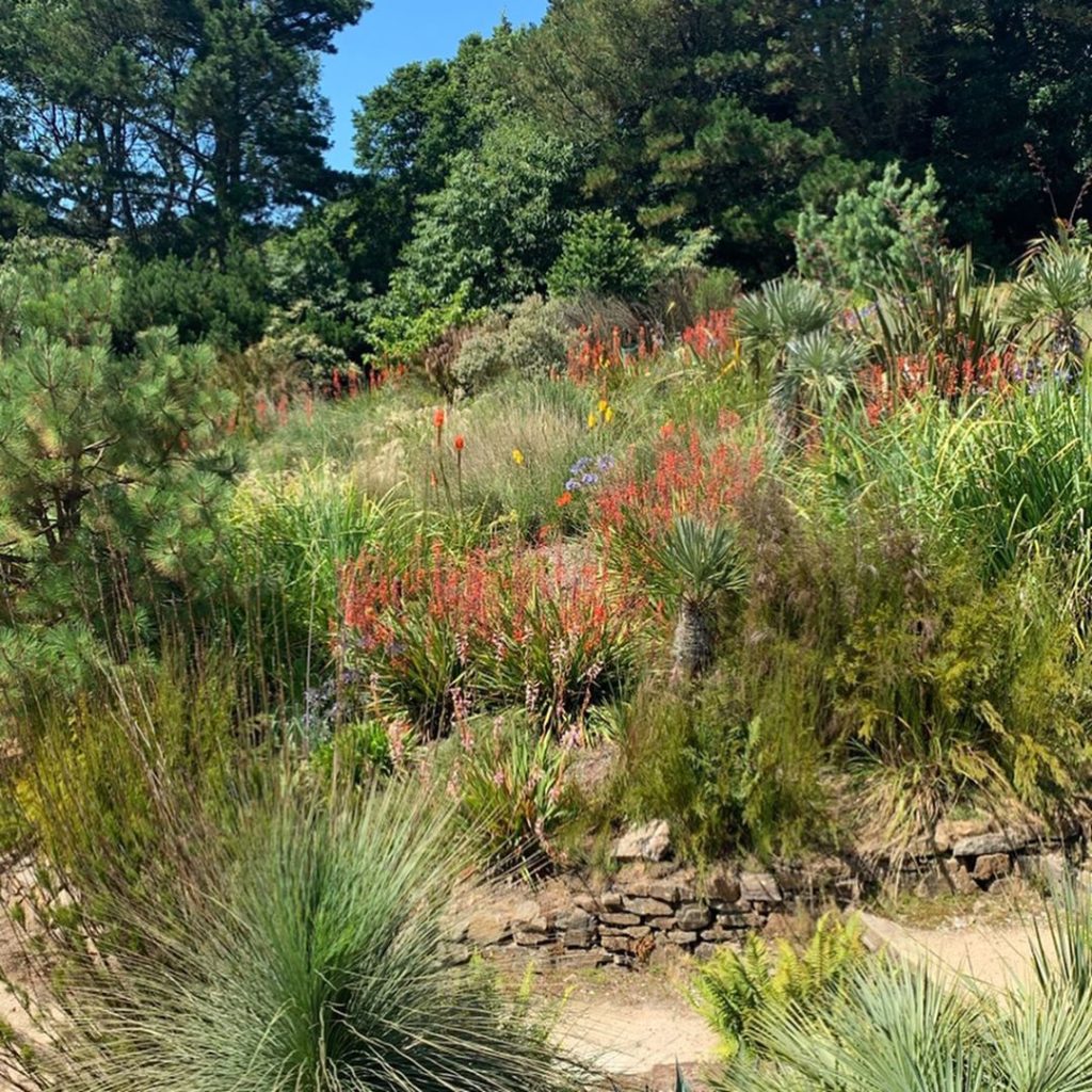 Privileged to visit @tremenheeresculpturegardens and get a guided tour from Dr. ...