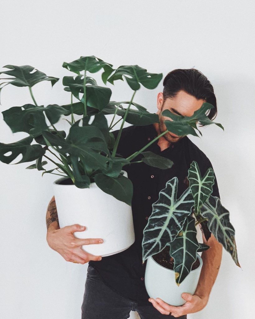 No #SundayScaries here. Plant goals via @plntdude....
