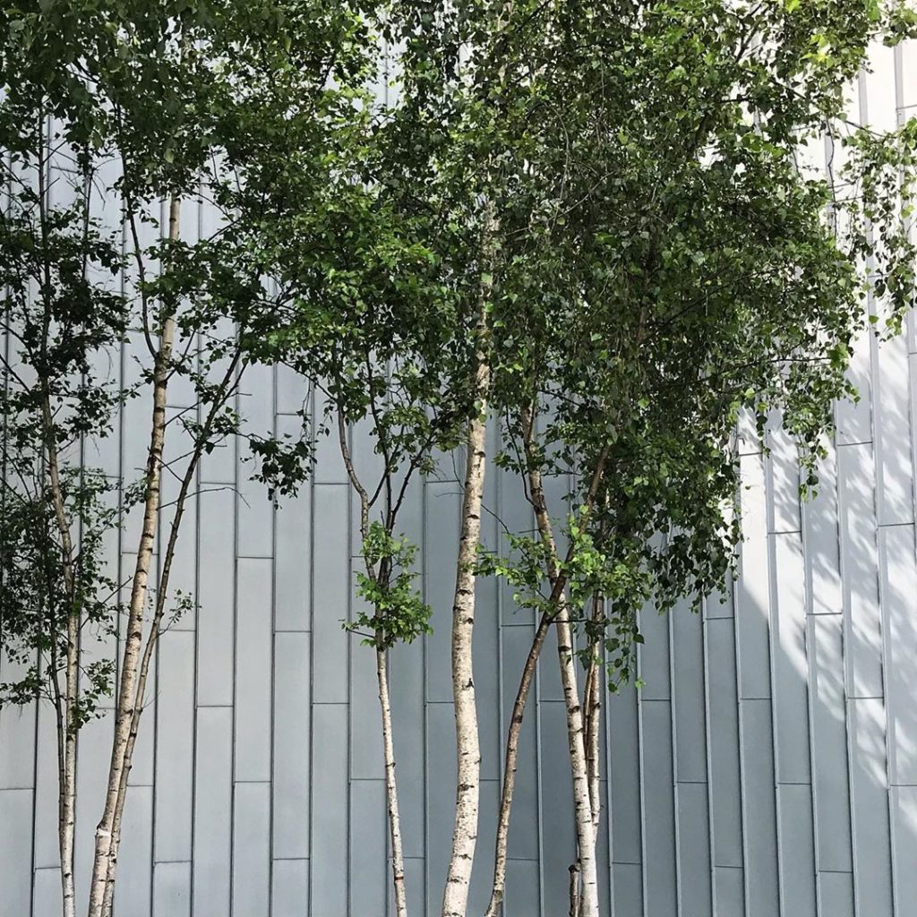 Delicate #zahahadid #betula #zinc #light #riversidemuseum #glasgow . .
.
#inspir...