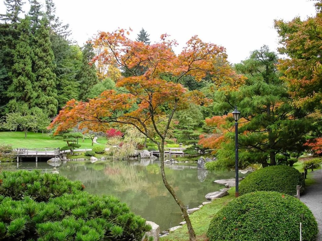 Colorful koi, large ponds and meandering paths. The SeattleJapaneseGarden is a m...
