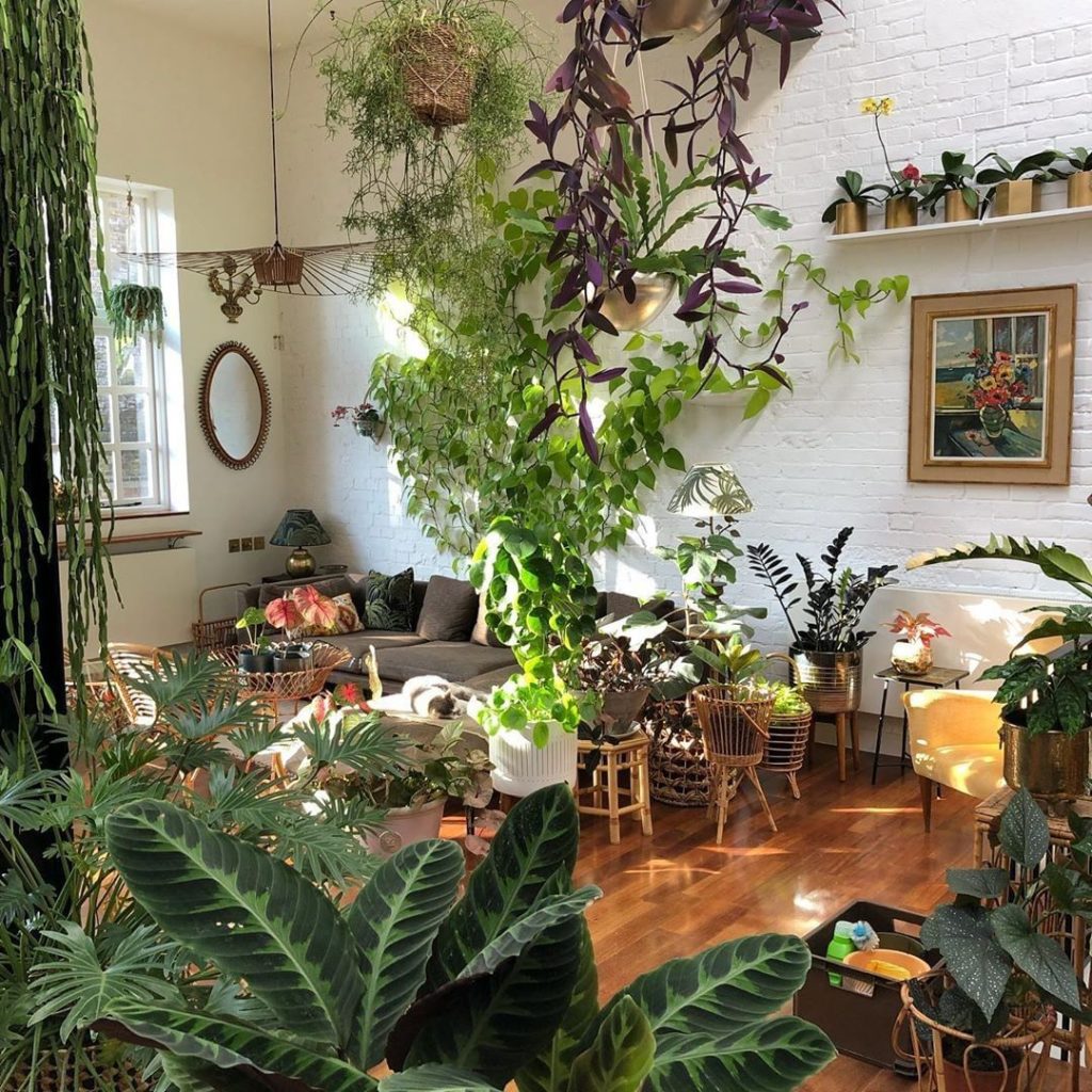 First on the to-do list: get a bigger apartment to fill with plants.  Goals via ...