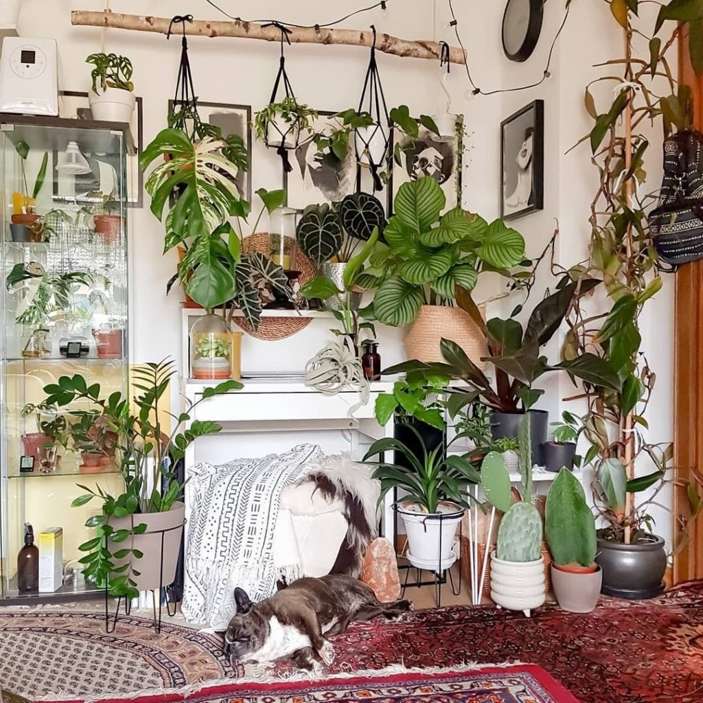 Big #MondayMood. : @munichjungle...