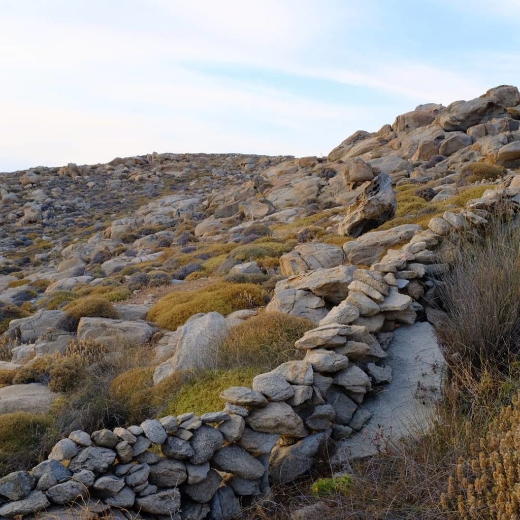 jamesscapedesign: Rineia. Granite stone Moore’esque. Sarcopterium spinosum, Centurea spinosa, Ba… Rineia. Granite stone Moore'esque. Sarcopterium spinosum, Centurea spinosa, Ba...