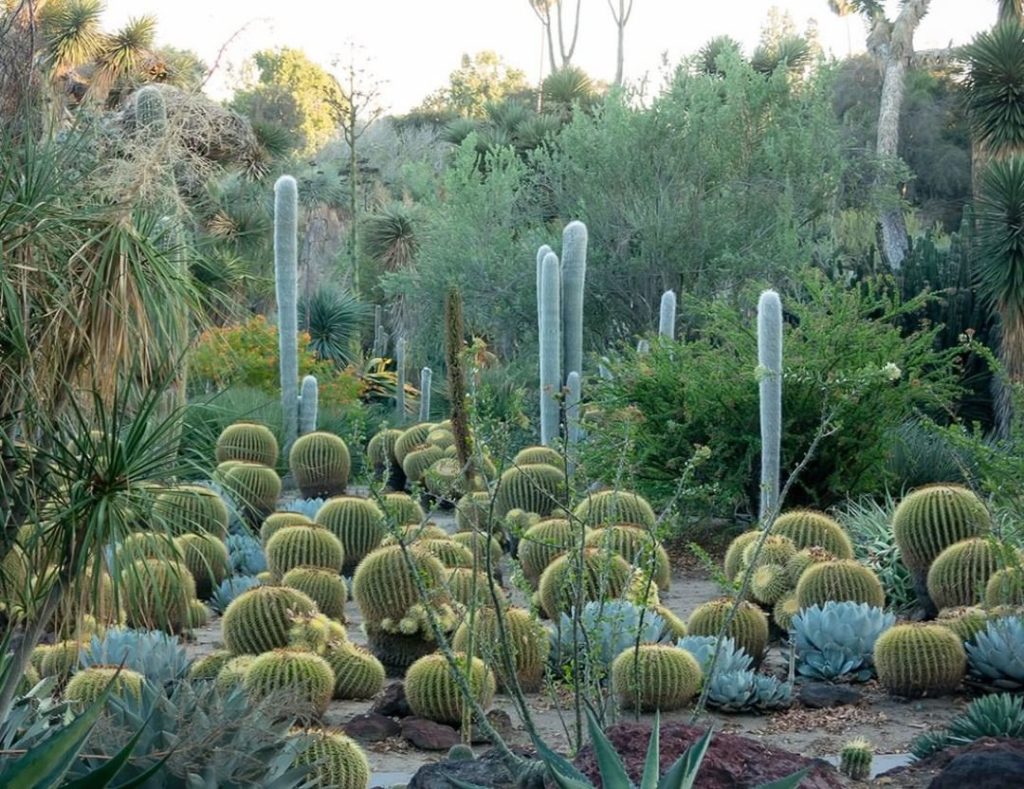 Visiting Los Angeles in the future? You'll want to see these gardens!
.
Local ga...