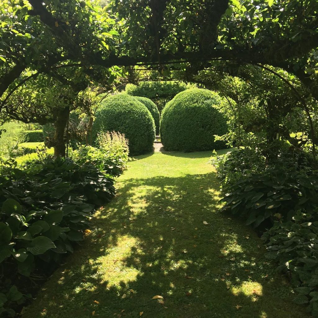 Giant #buxus globes and apple #arbour in the #walledgarden @healegardens #dapple...