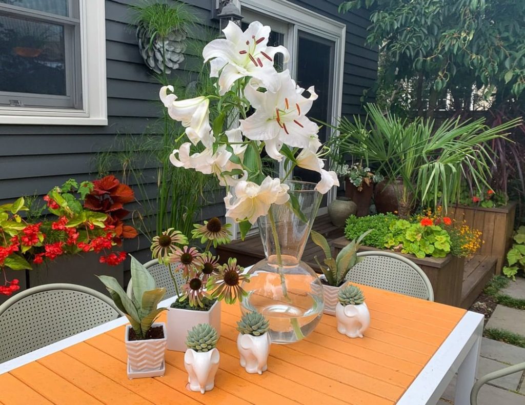 gardendesignmag: Blog We Love: egardengo_app
“Assess. Adjust. Repeat.”
Darcy shares great tips on… Blog We Love: egardengo_app
"Assess. Adjust. Repeat."
Darcy shares great tips on...