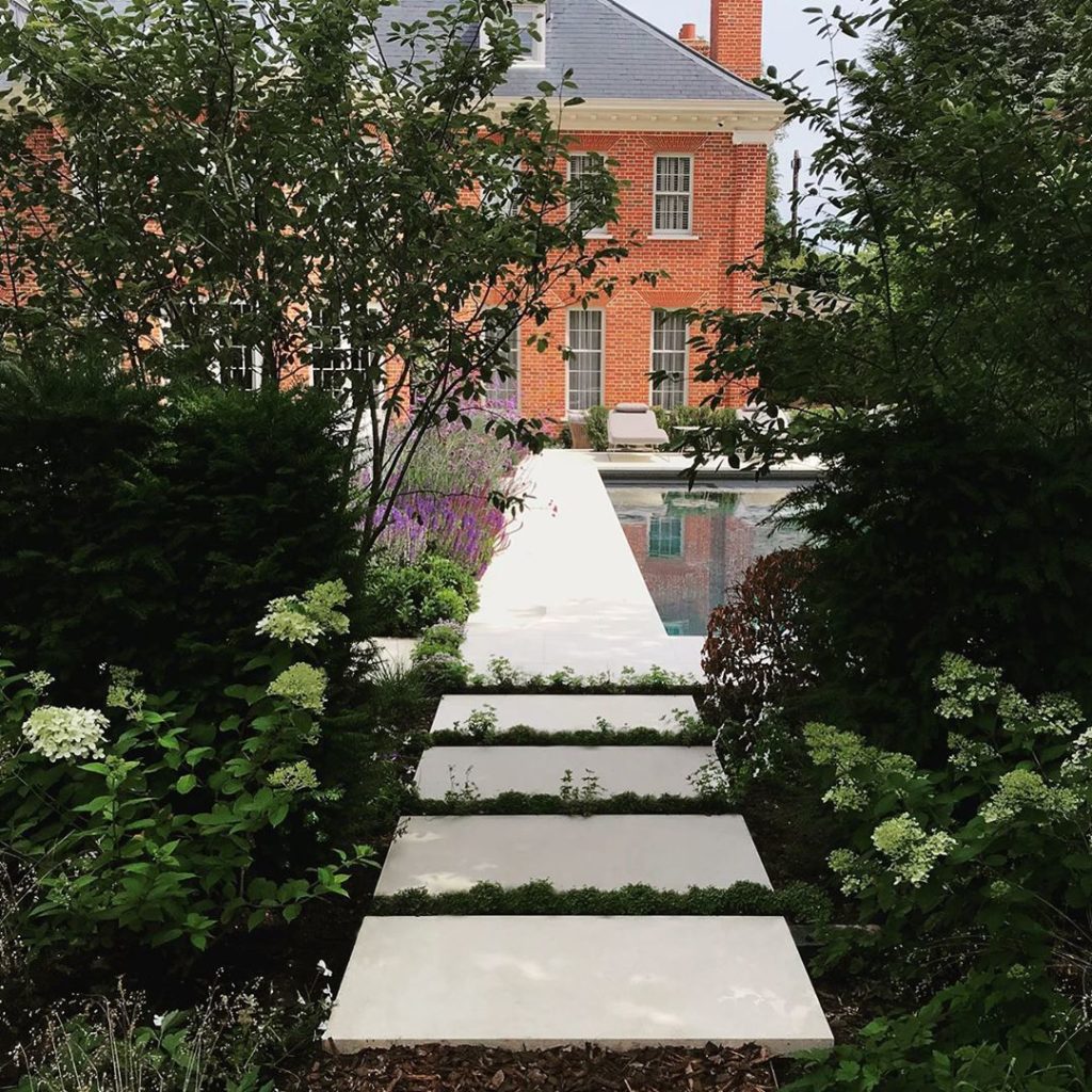 Recently planted #hydrangeapaniculatalimelight in #shadyspot #limestone path wit...