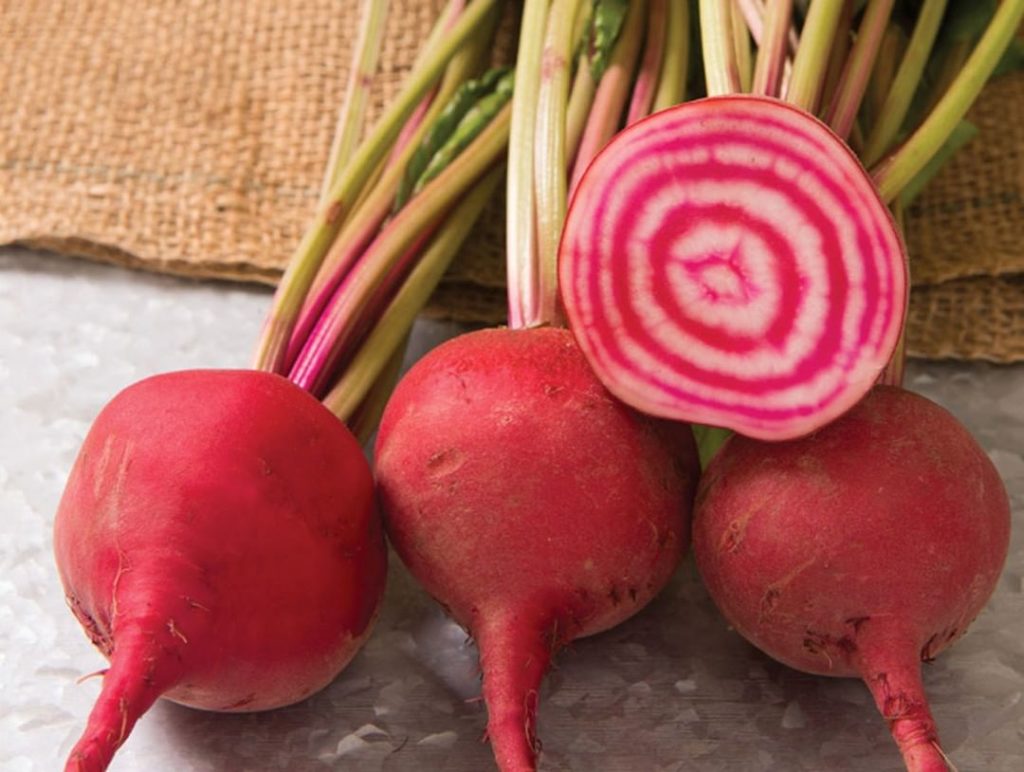 gardendesignmag: See what quick-maturing veggies you can still plant in the ground now, plus get … See what quick-maturing veggies you can still plant in the ground now, plus get ...