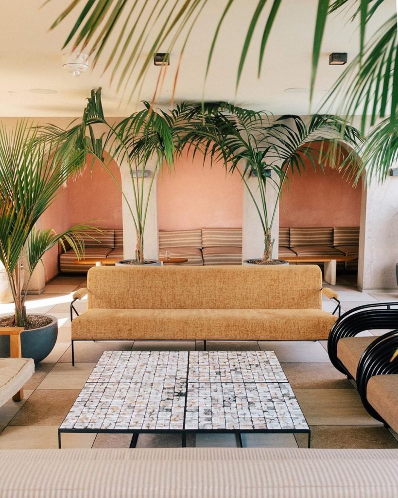 Can't get enough of these palms. Photos of @santamonicaproper by @saratoufali....