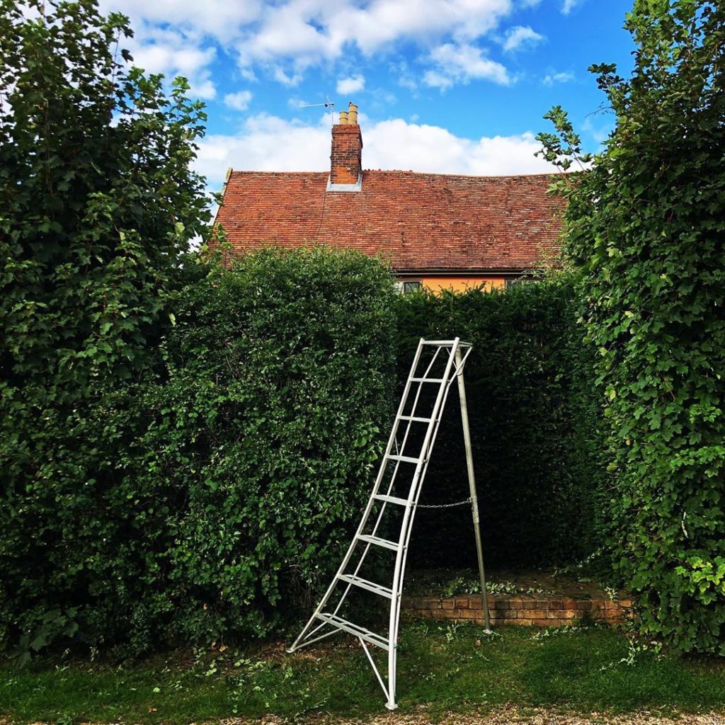 Seasonal tasks #August #waterloo #laxfield #suffolk #lastsundaythissummer #yew #...