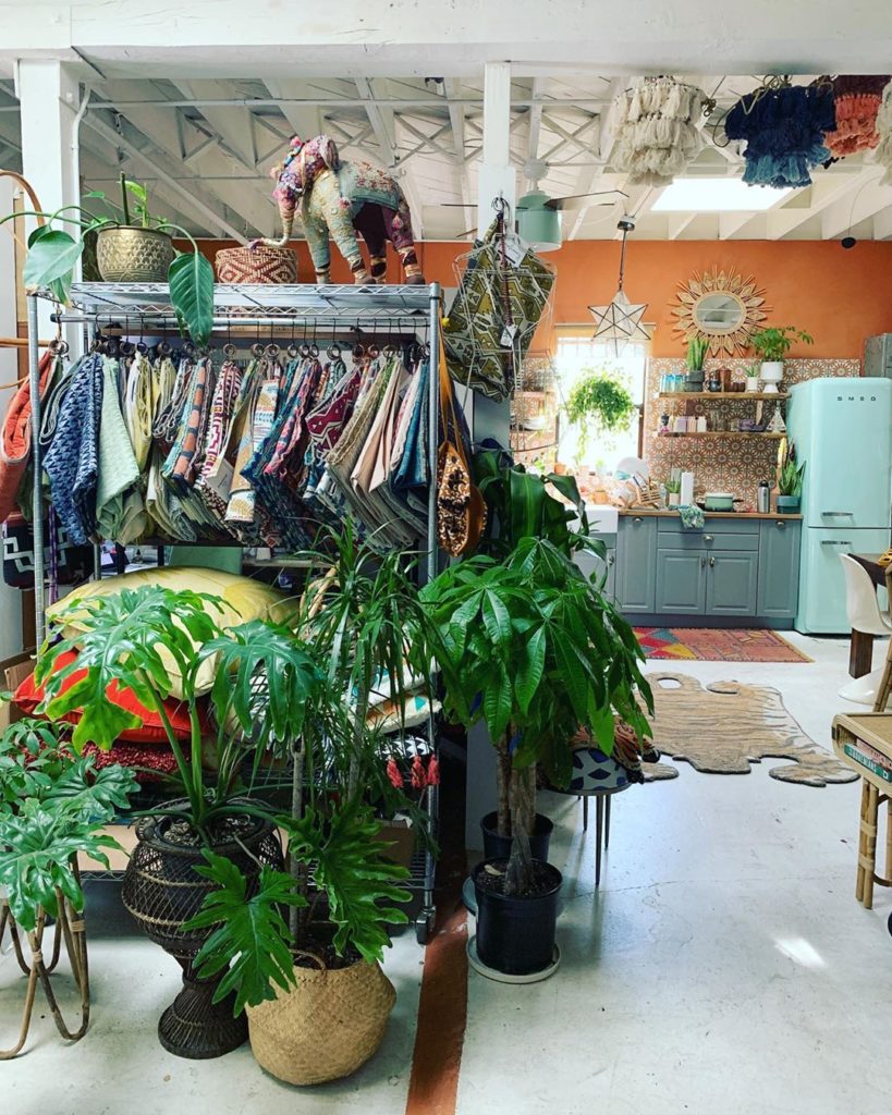 Check our stories for a wild studio tour to check out where all the jungalicious...