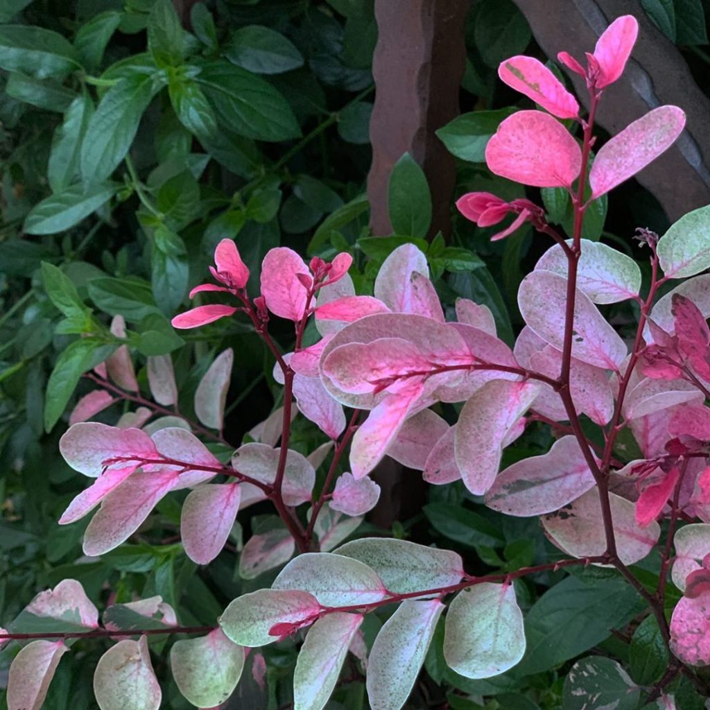 Mama nature at it again.......