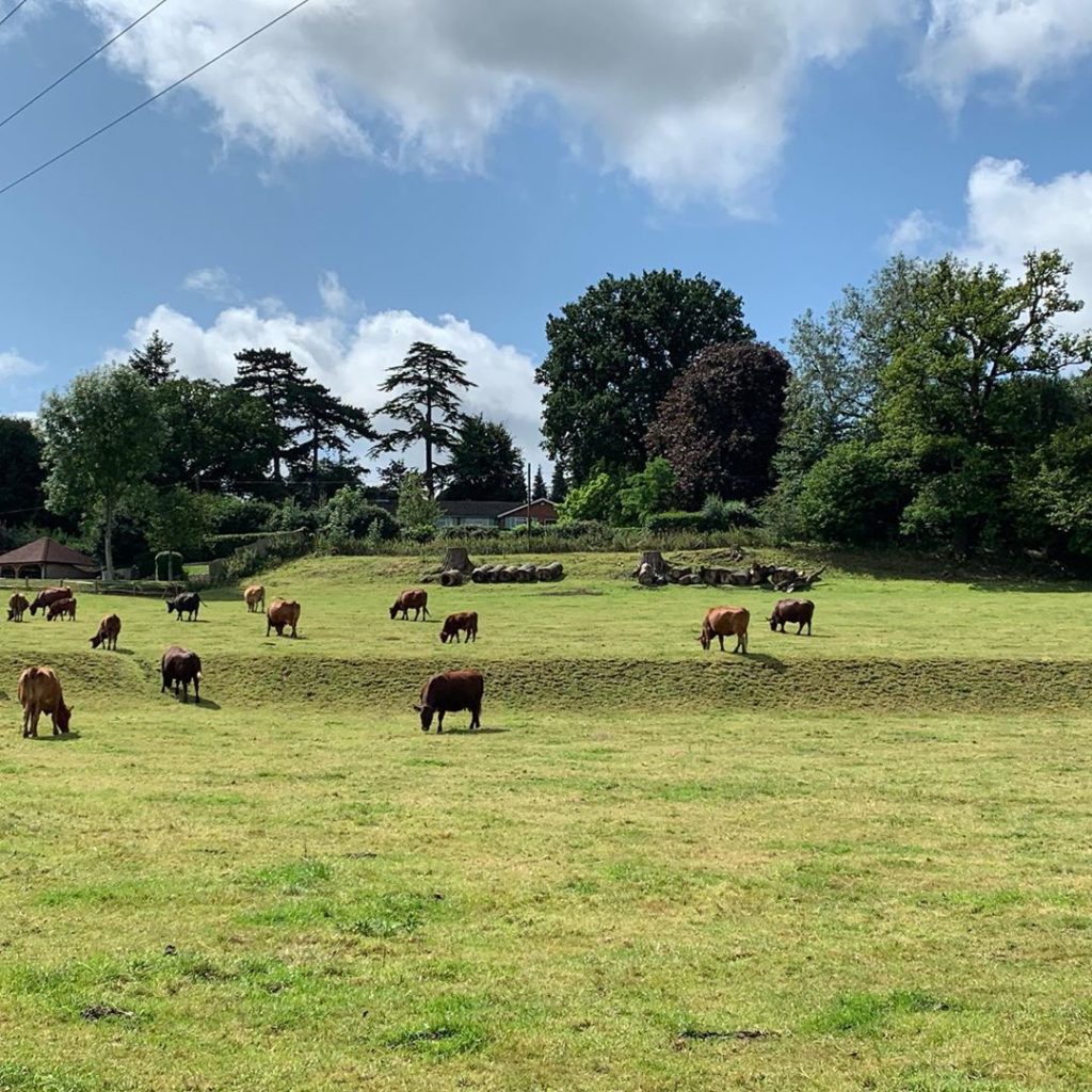 kategouldgardens: Dodging the showers and piling on the miles in preparation for #kilimanjaro for … Dodging the showers and piling on the miles in preparation for #kilimanjaro for ...