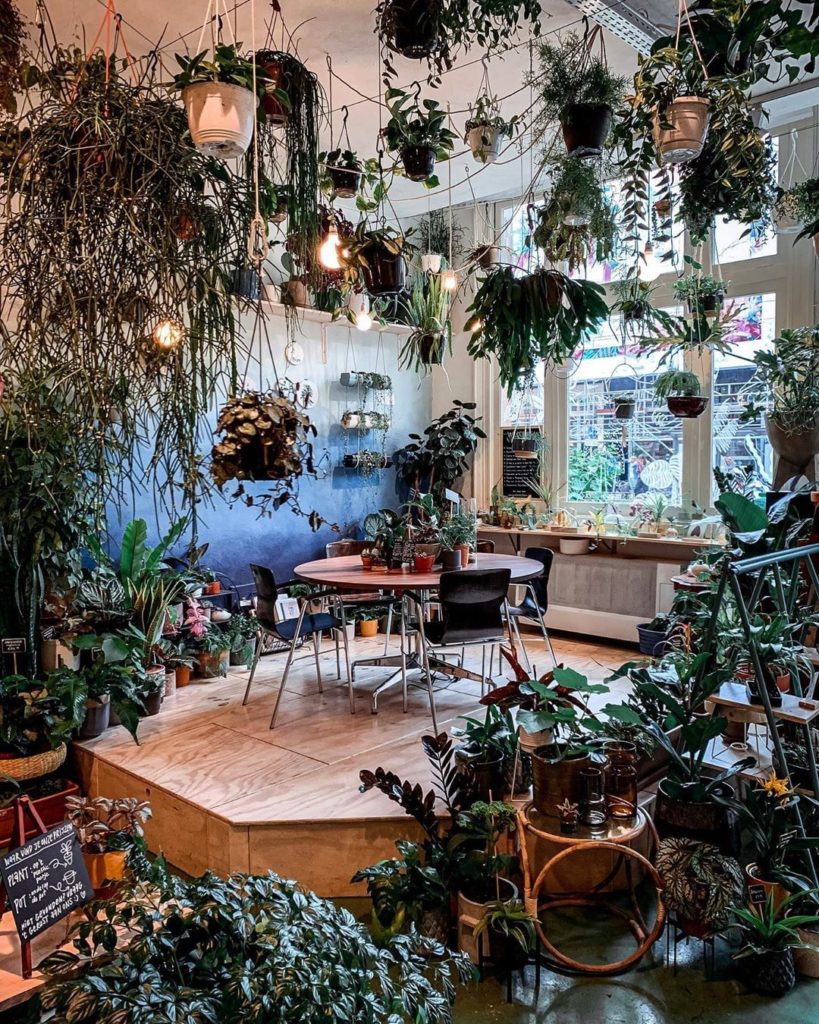 In awe of Amsterdam's plant scene.  Photo of @wildernisamsterdam by @lostinluxem...