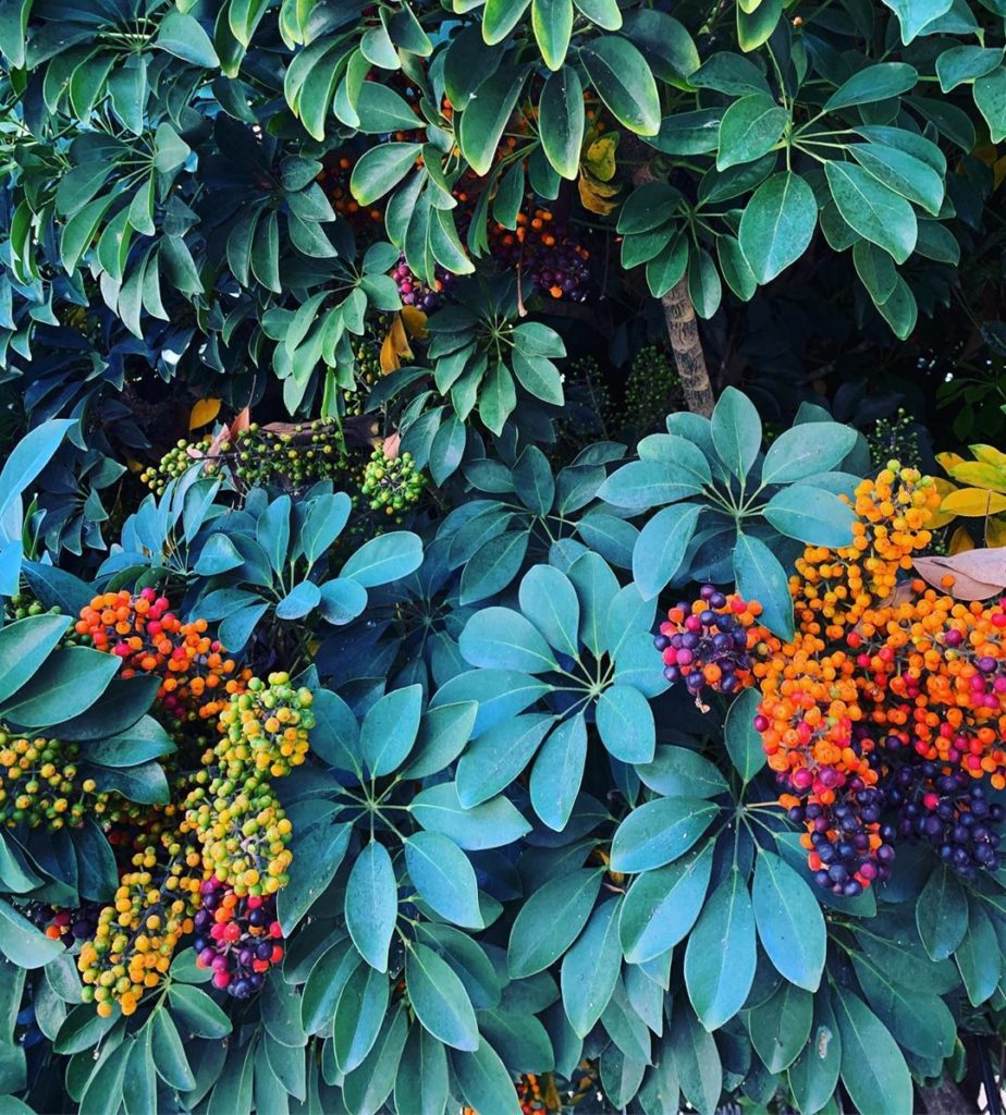 I walked the long way from our local coffee spot to get home, and came across th...