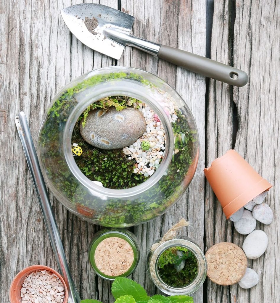 Weekend Project: DIY Terrarium!
.
Once you make one, I bet you'll want to make m...