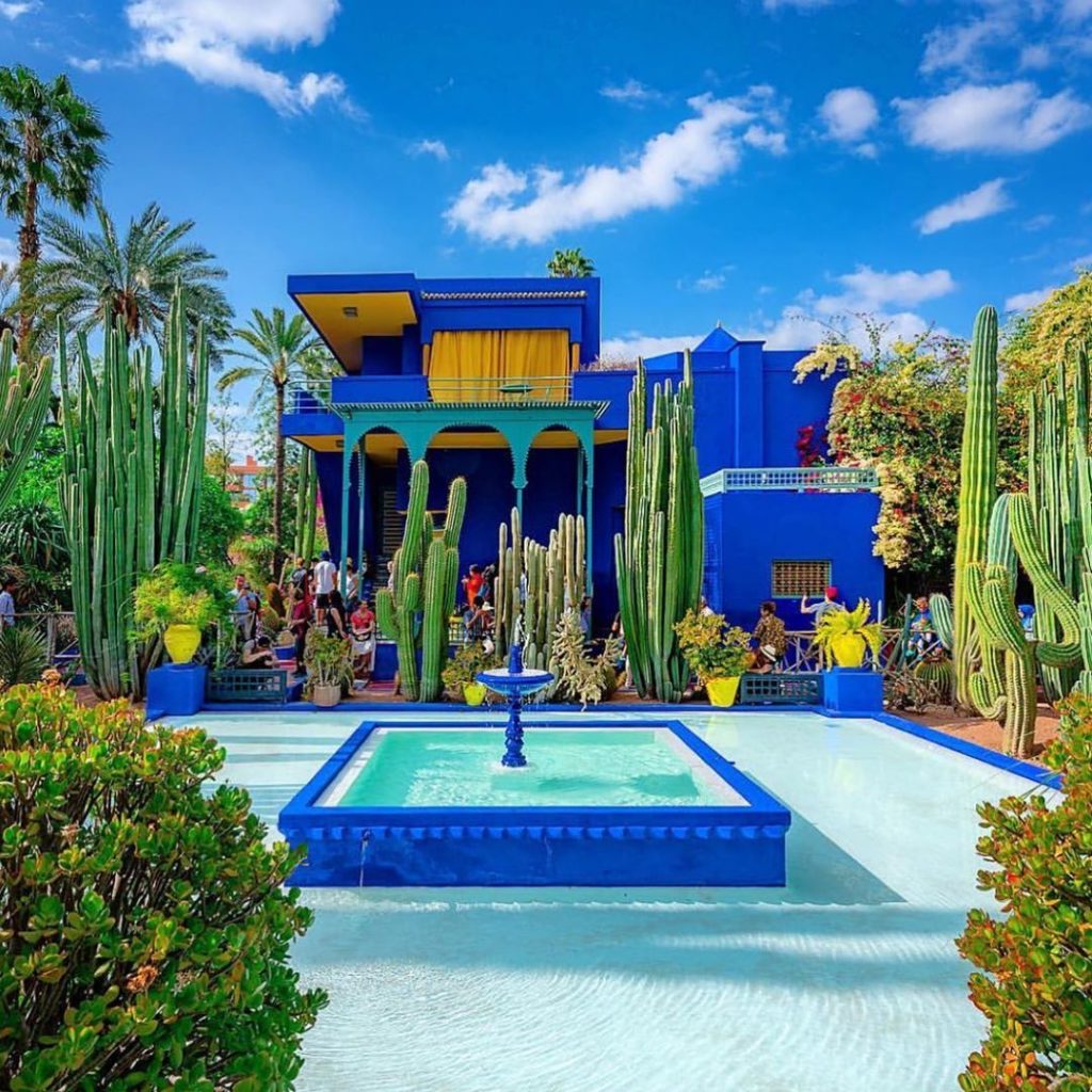 @pixelpann giving us MAJOR(ELLE) color & botanical inspoWhere do you get your co...