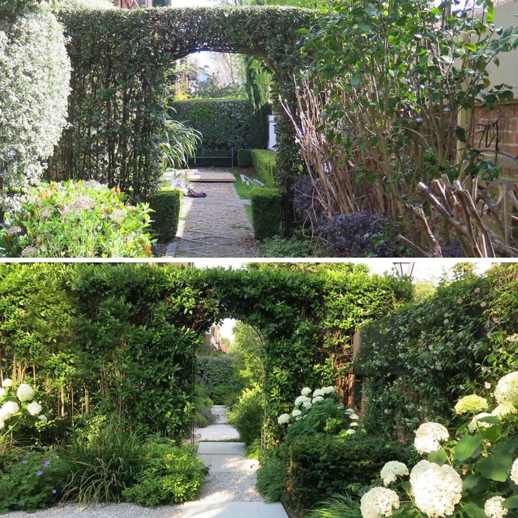 #beforeandafter #transformation #gardendesign #planting #archway #hydrangeaannab...