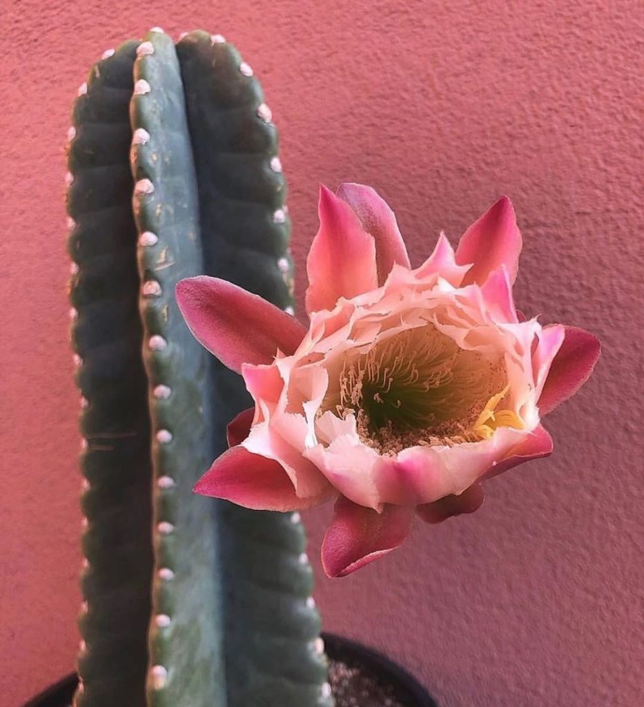 Be the reason someone smiles today. : ____ ?...