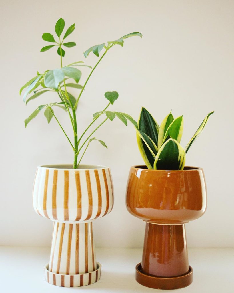 thejungalow: Overwatering is probably the #1 reason houseplants die, and that is largely due … Overwatering is probably the #1 reason houseplants die, and that is largely due ...