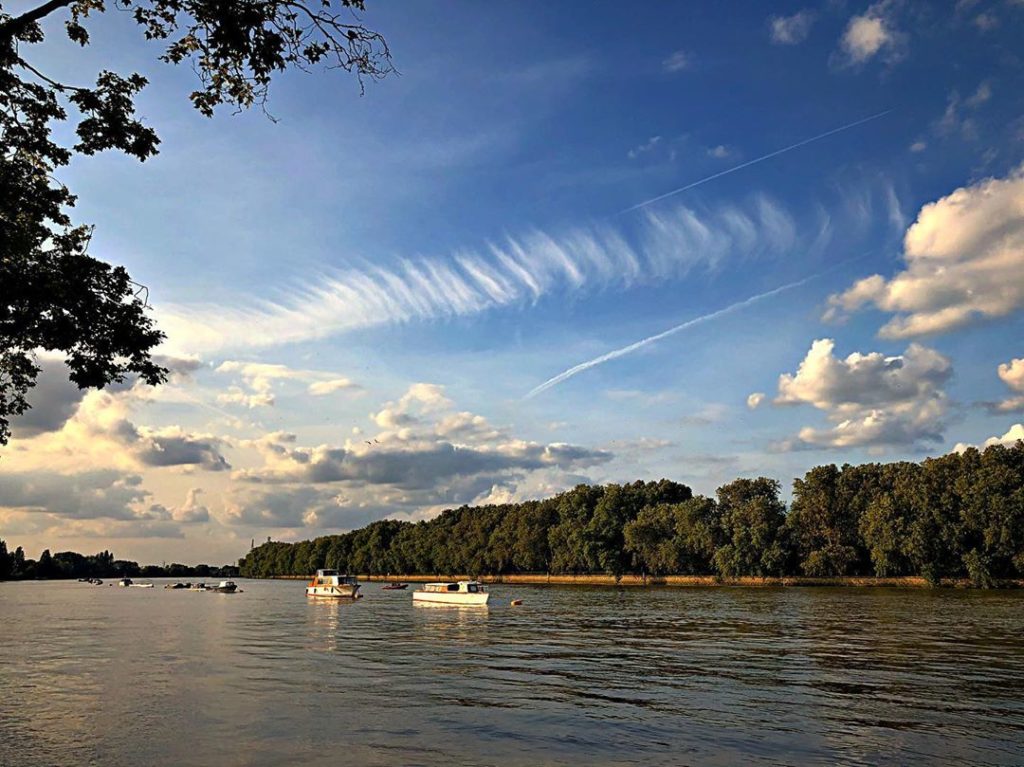 Summer cycle along the tow path in Putney. London at its best! have a great bank...