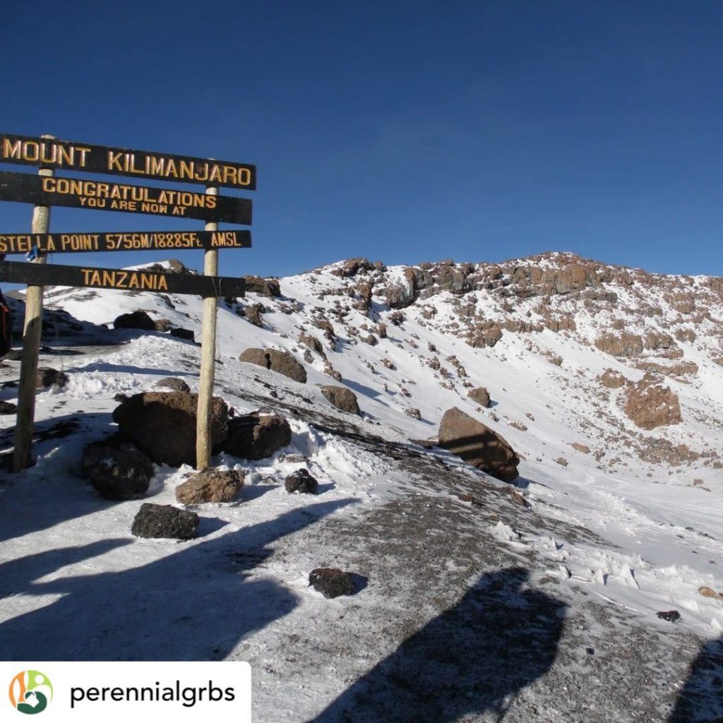 Posted @withrepost • @perennialgrbs This time next month @KateGouldGardens & @kn...