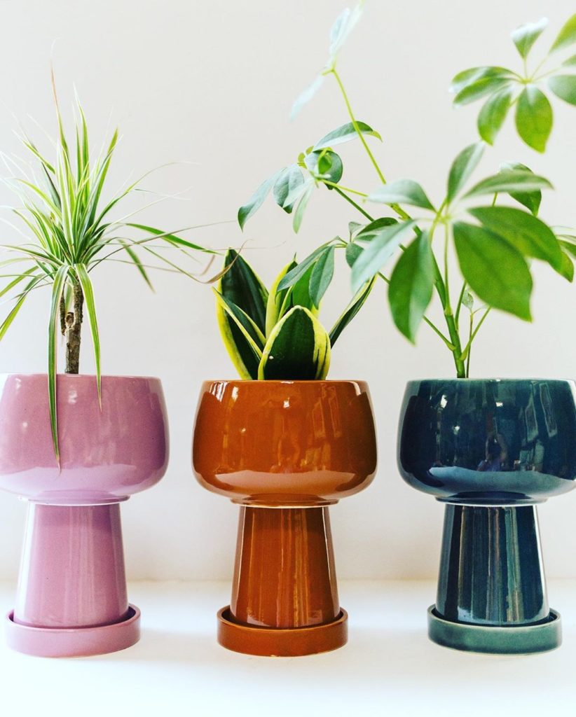 Kaya planter in solid? Or Kaya planter in stripe? What’s your Kaya Vibe-a? #jung...