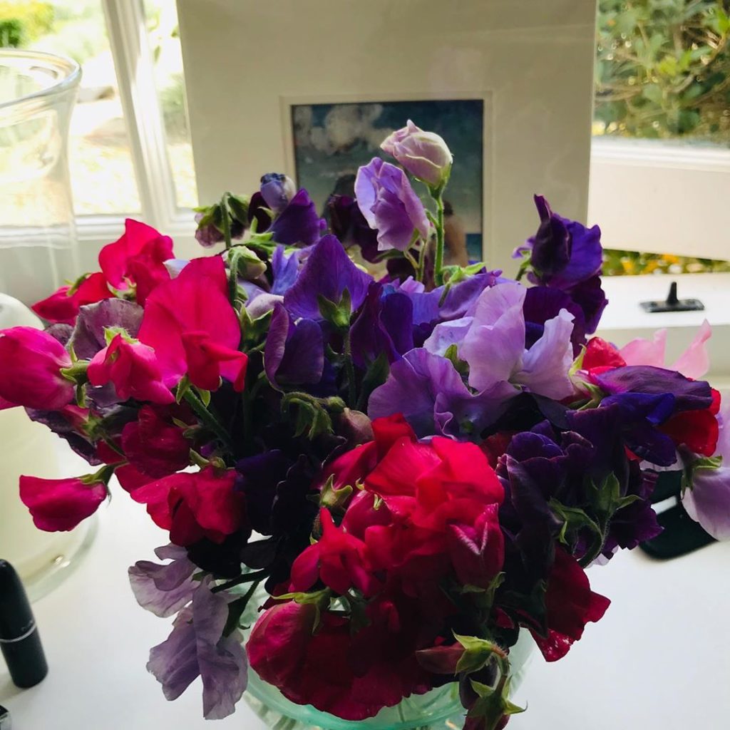 #sweetpea #season #summersend #myfavourite...