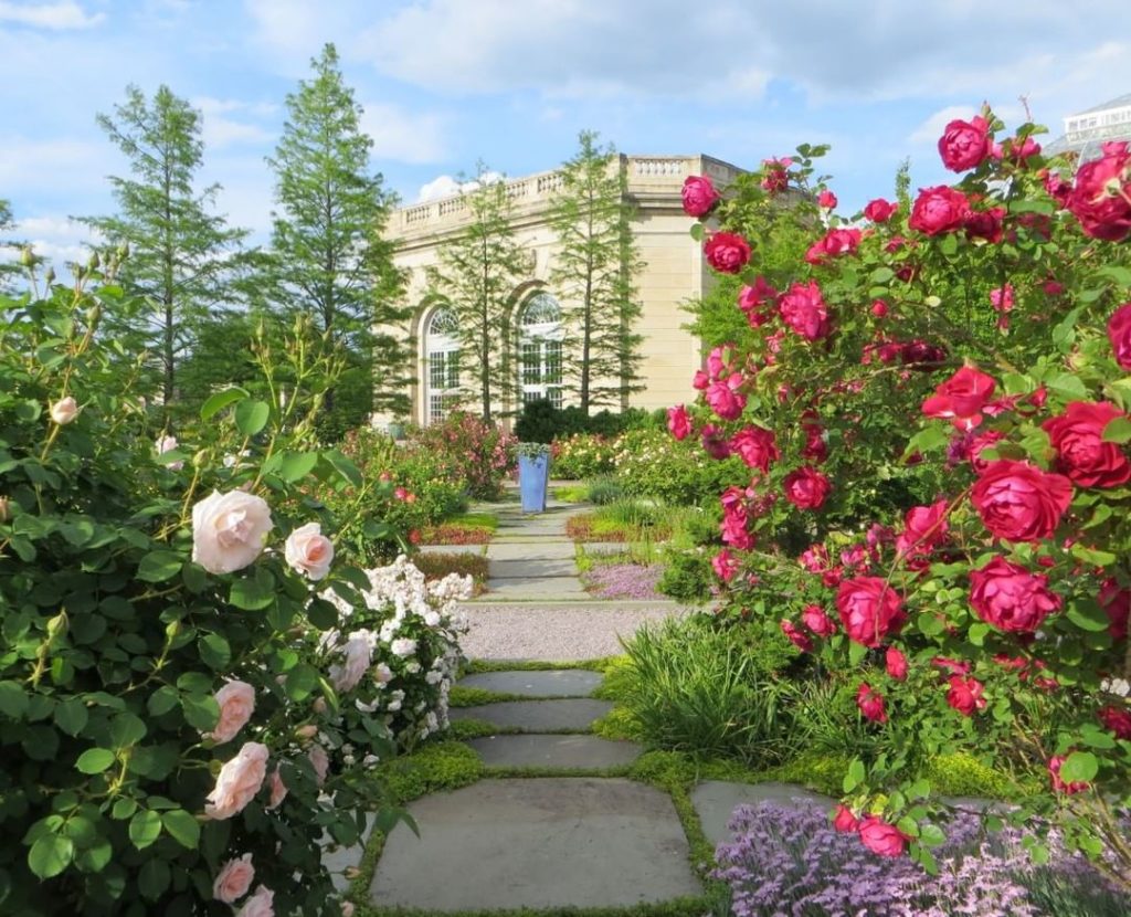 gardendesignmag: What a view!
.
Have you visited the usbotanicgarden? It’s one of the oldest bota… What a view!
.
Have you visited the usbotanicgarden? It's one of the oldest bota...