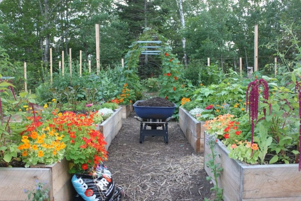 gardendesignmag: Podcast We Love: gardenerd1 talks with vegetable gardener and author nikijabbour… Podcast We Love: gardenerd1 talks with vegetable gardener and author nikijabbour...
