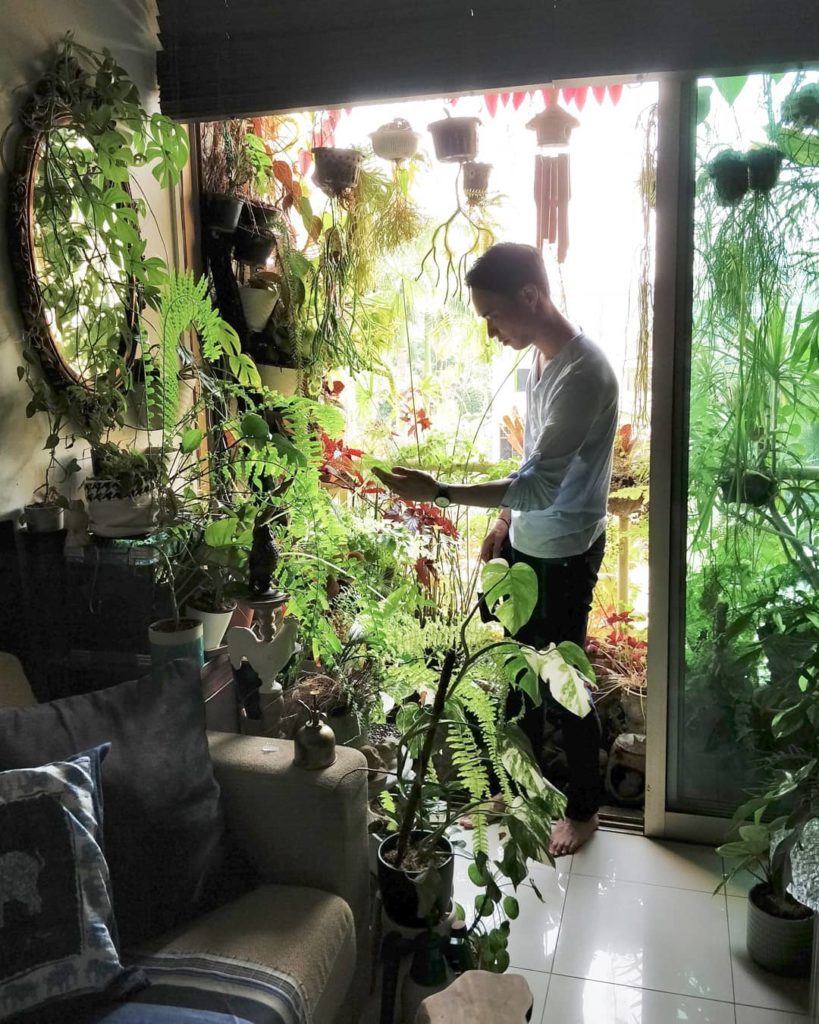 houseplantjournal: #tbt when I visited @jamesipy in Singapore.
–
Lesson on light: the human percept… #tbt when I visited @jamesipy in Singapore.
-
Lesson on light: the human percept...