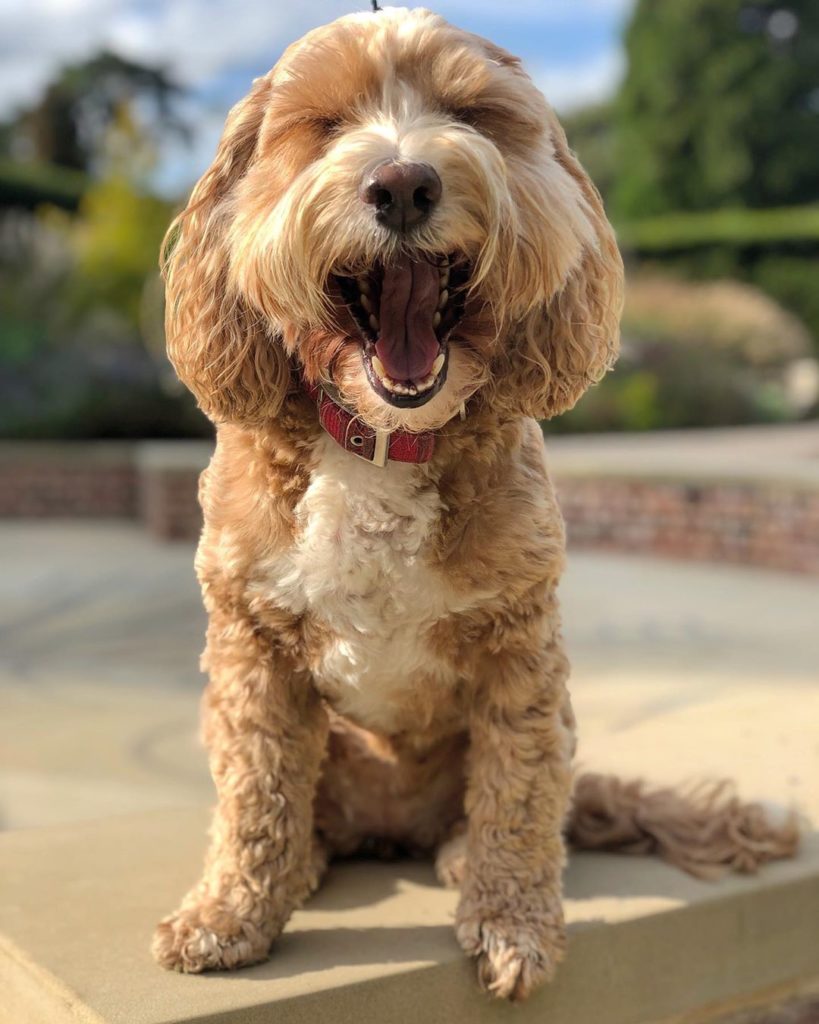 It’s the way I tell them!!...