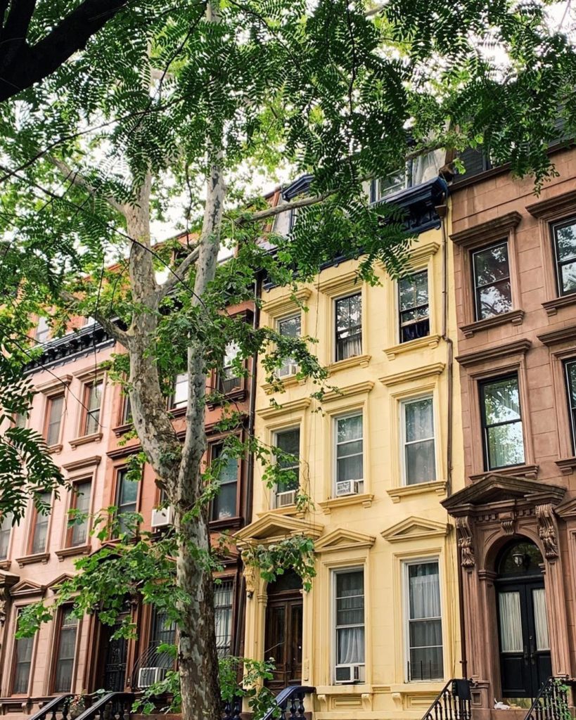 Harlem's looking beautiful as ever.  Photo by @hi.common...