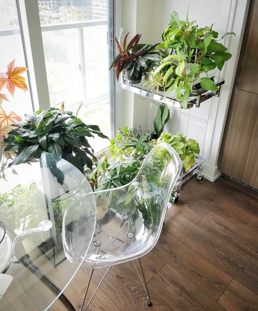 Yesterday, I wrote about what environmental indicators you should use to ensure ...