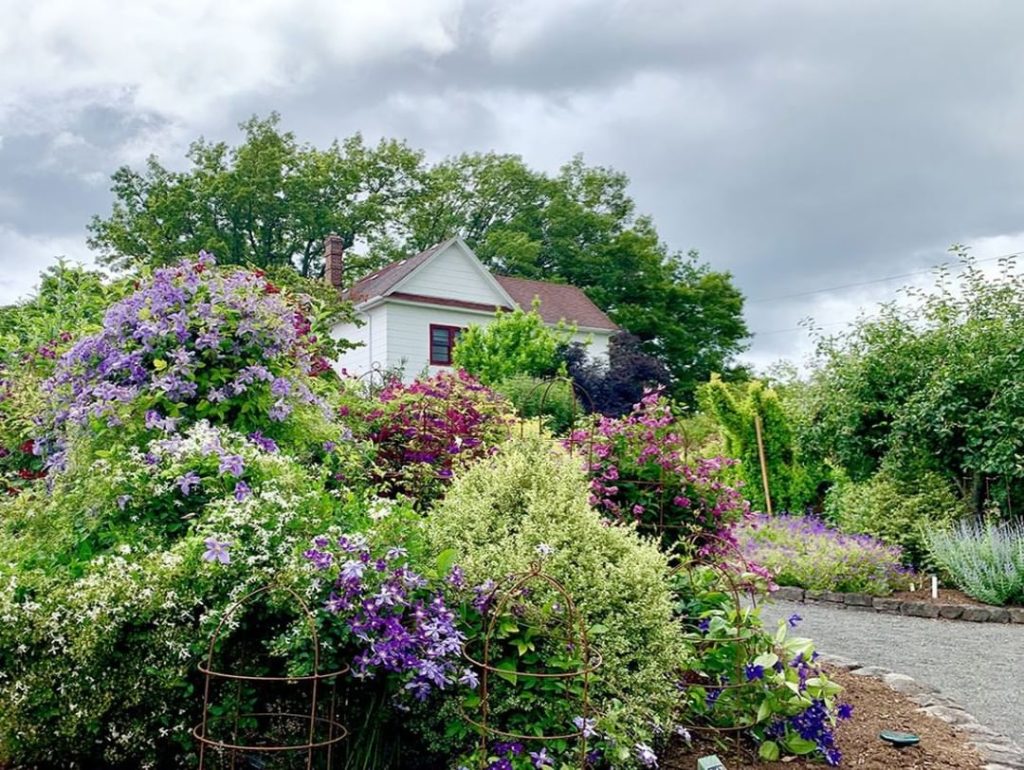 Let us take you on a tour of 3 hidden gardens in Portland, with JJ De Sousa of d...