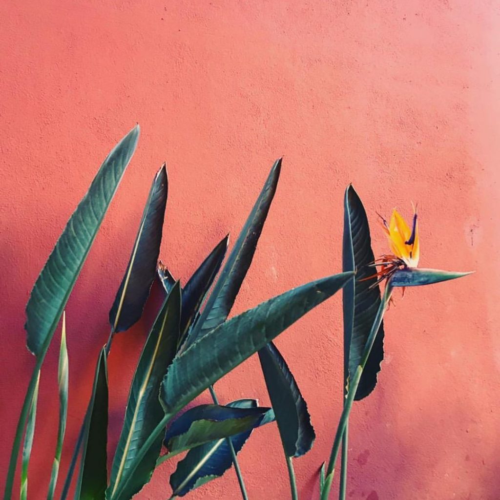 thejungalow: Everyday I’m honored that a handful of truly talented people spend their time, e… Everyday I’m honored that a handful of truly talented people spend their time, e...