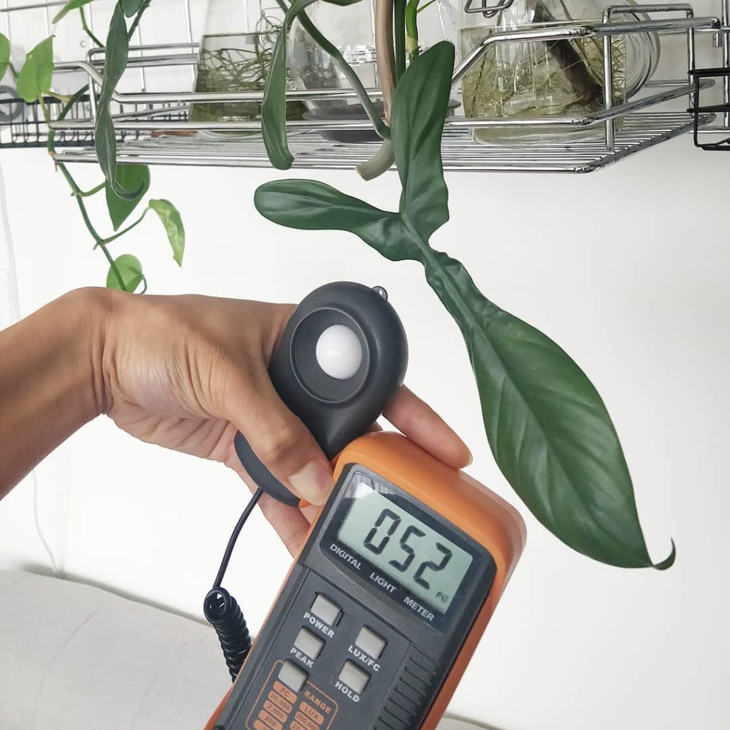 I'm starting a new blog series on light (link in profile) because your hundreds ...