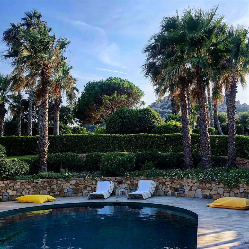 Question...remove the palm trees and replace with olives at this project of ours...