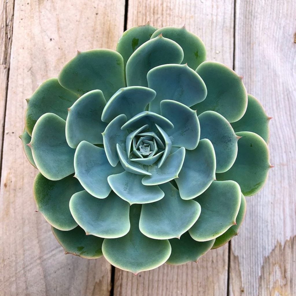 We’ve added new 4” to our site! Swipe to see!...