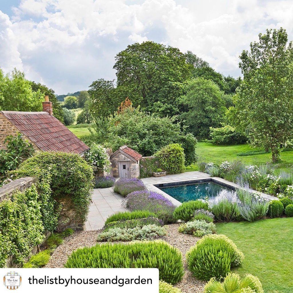 Lovely photo by @andreajonesgardenphotography of our garden in Bruton Somerset f...