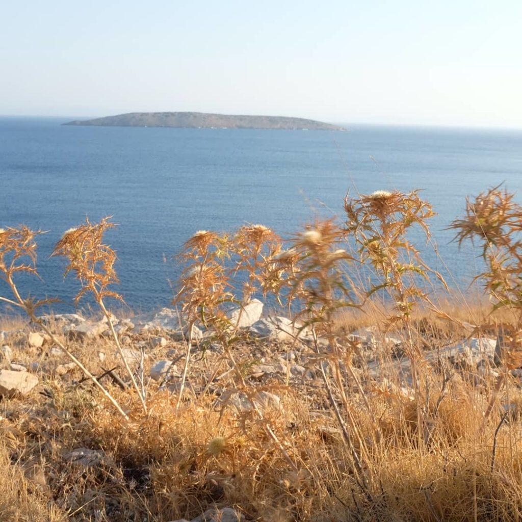 Nisos Agothonision....