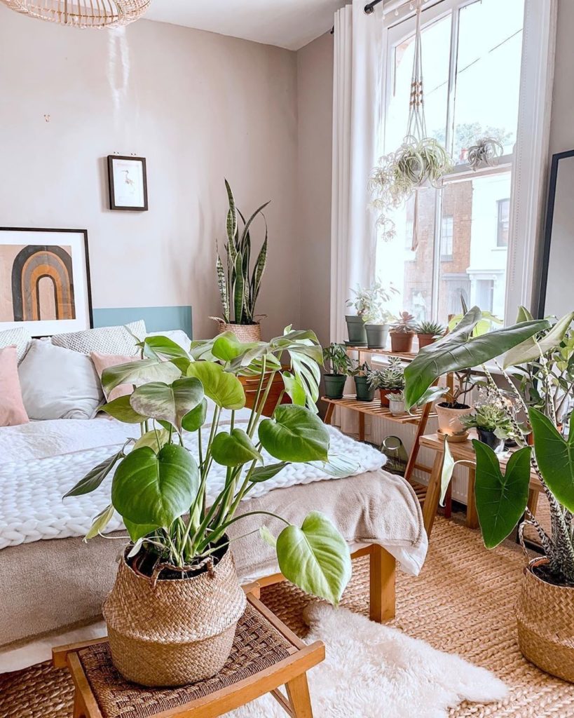 Good morning, everyone (plants included).  Photo via @plantastic_mr_fox...