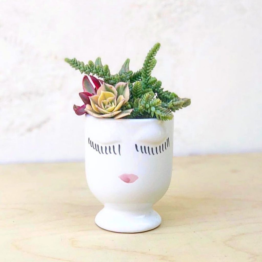 UPDATE: All pots and planters are now shipping as succulent arrangements....