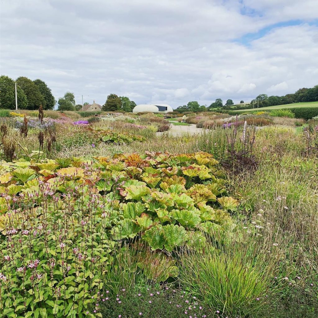 Planting by @pietoudolf looking great @hauserwirth Somerset. September has to be...