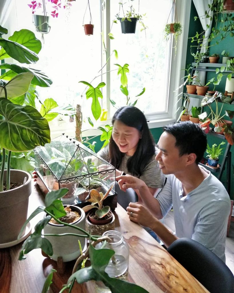 houseplantjournal: Topics/plants discussed in part 2 of my houseplant tour with Jackie Tsang (homeb… Topics/plants discussed in part 2 of my houseplant tour with Jackie Tsang (homeb...
