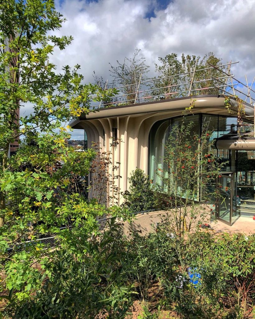 marielouiseagius: Fabulous to see the progress @maggiesyorkshire this week : #plants beginning to … Fabulous to see the progress @maggiesyorkshire this week : #plants beginning to ...